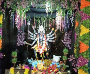 ग्राम कोदवा महंत में विराजे मां काली का भव्य स्वरूप दर्शन के लिए भक्तों का उमड़ा भीड़