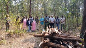 अचानकमार टाइगर रिज़र्व में आपसी संघर्ष में नर बाघ की मौत, पोस्टमार्टम में क्षेत्रीय द्वंद्व की पुष्टि..