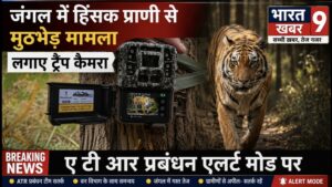 वन विभाग ने बाघिन व शावक की तलाश में लगाए ट्रैप कैमरे, युवक की वन्यप्राणी के हमले में मौत के बाद प्रबंधन अलर्ट हो गया है।