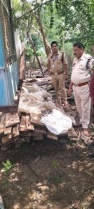 ग्राम बांधा में पुलिस और वन विभाग की संयुक्त कार्रवाई, 31 नग सागौन की लकड़ी बरामद