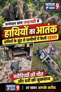 लोरमी के जमुनाही में हाथियों का आतंक: तड़के 3 बजे घर की ओर बढ़ा झुंड, पत्नी-बच्चों को लेकर भागा ग्रामीण